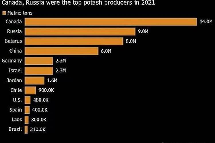 钾肥为何这么贵啊