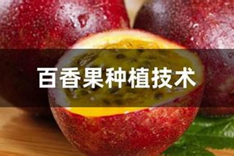 百香果用什么肥料？