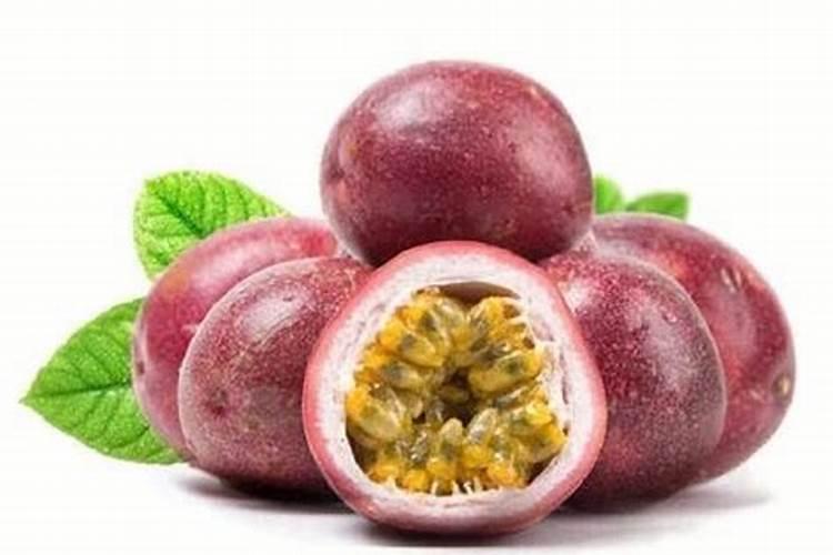 种植百香果什么时间施肥最好 百香果什么时候施肥