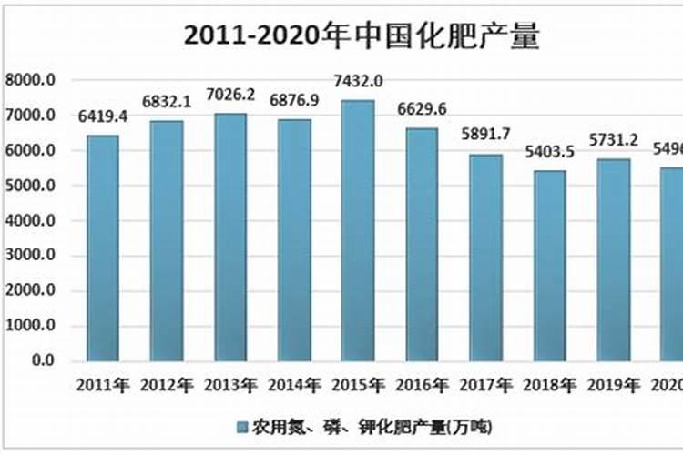 海南养花技巧与禁忌 关于养花的方法