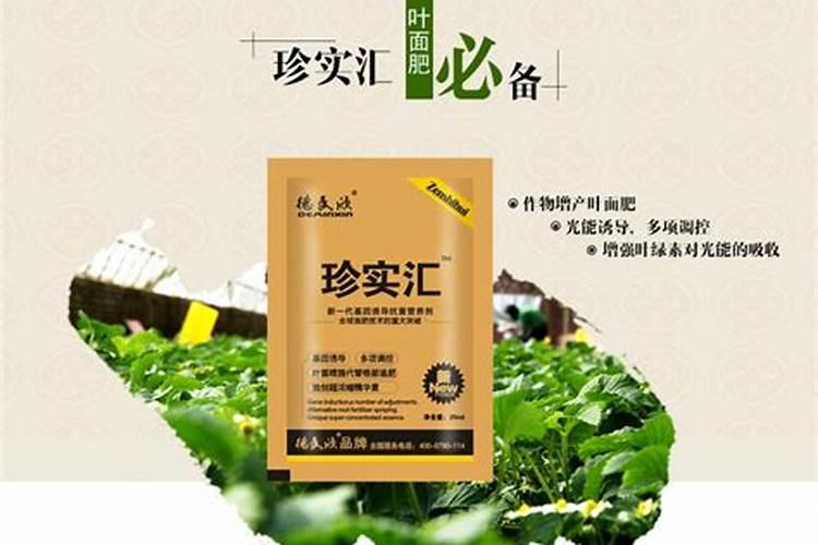 水稻什么时候用叶面肥？