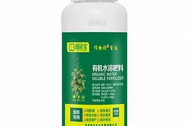 神秘果能做出什么创意饮品？