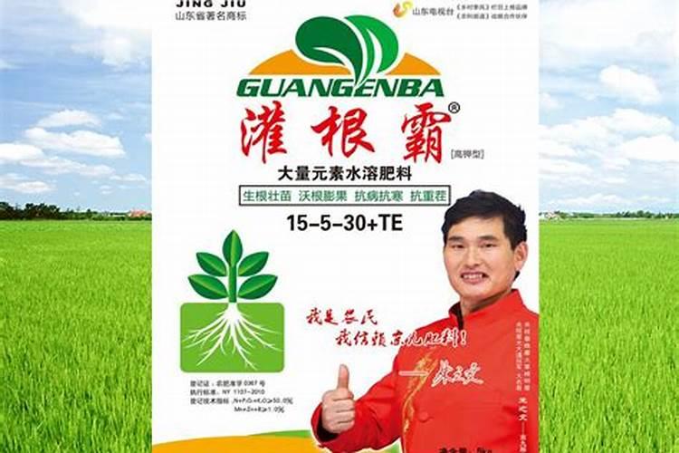 请问老师!柑橘树在什么时间施放磷肥最好？