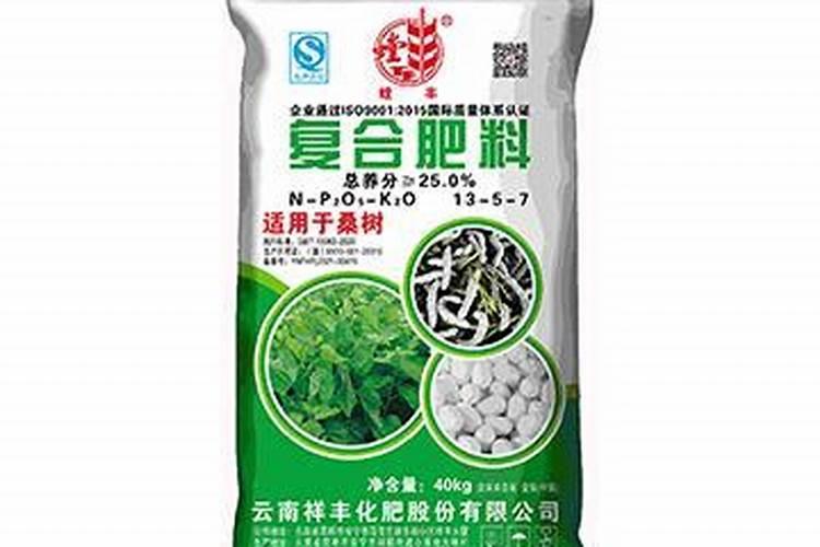 多肉法师怎么种植
