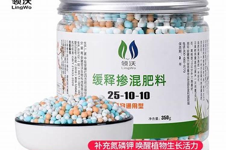 氨气的克星植物