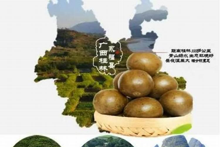 桃花盆栽施肥方法 桃花什么时候施肥