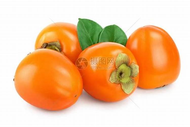茶花如何施肥长得好