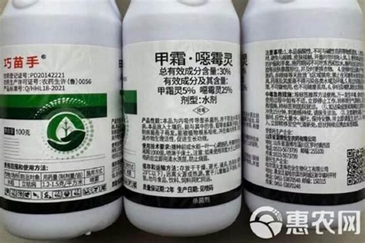 玉米幼苗叶子发黄打什么药
