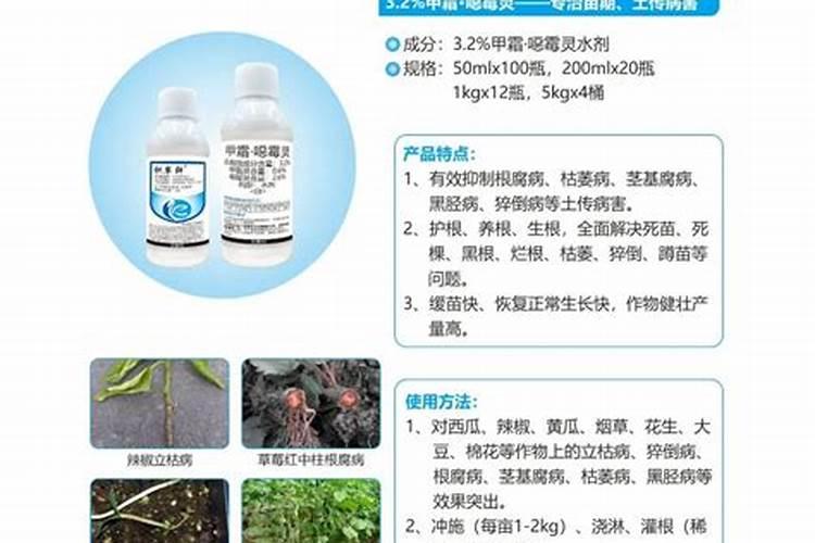 缓苗后零星出现,二十天后整棚都是这样的？不知道怎么了？