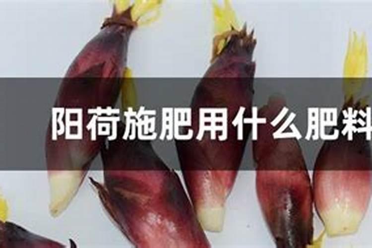 ...柑橘,设施是滴管,大量元素怎么使用啊？一亩地用多少墨土的水溶肥？