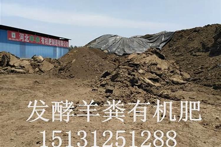 有机肥的有机质是什么意思？