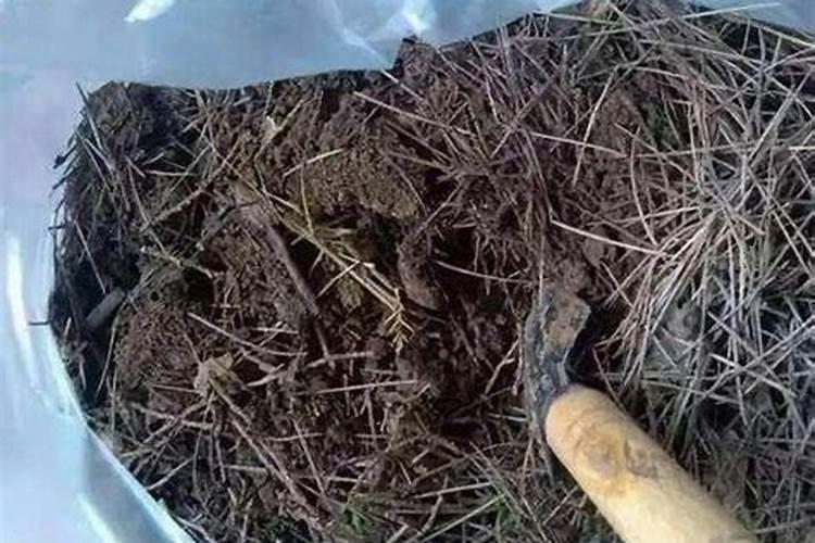 最简单的沤土沤肥方法,沤肥和堆肥的区别