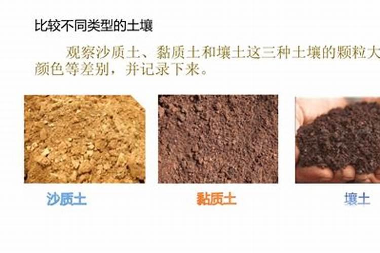 在给蔬菜施肥时,都有哪些正确的施肥方法需要掌握？
