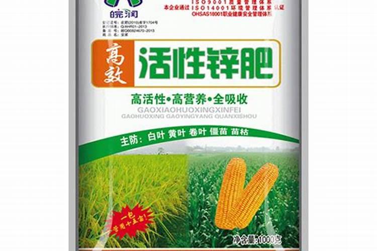 种植辣椒施什么肥料
