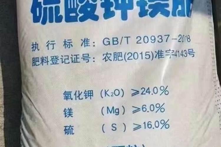 乐得摇尾巴,还是乐地摇尾巴