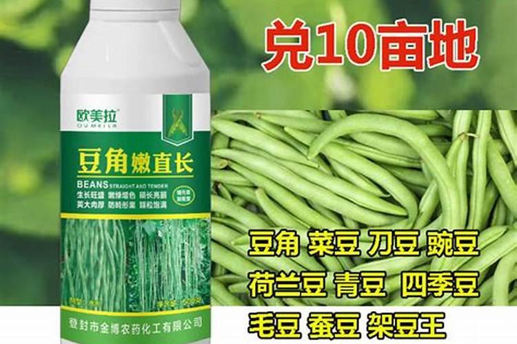 种豆角用什么肥料好