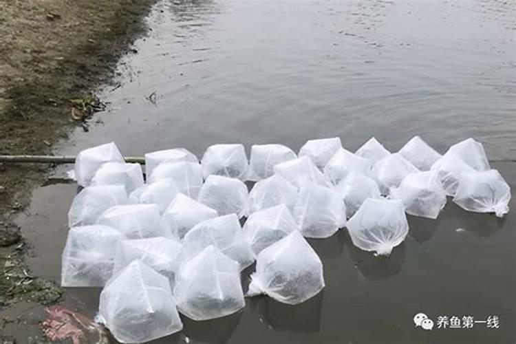 水培和土培的区别