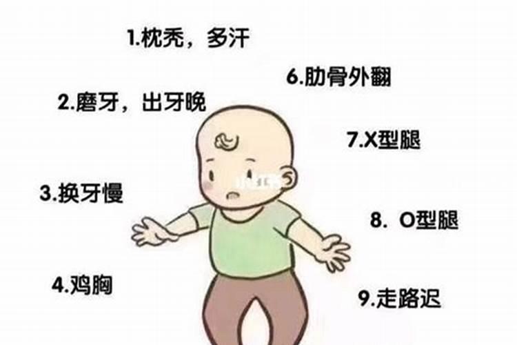 山东神久生物科技有限公司怎么样？