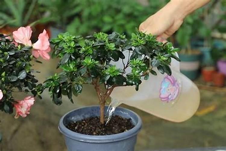常用作调节土壤酸碱性的一种碱是什么