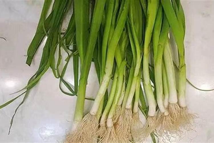 大蒜现在用什么肥料