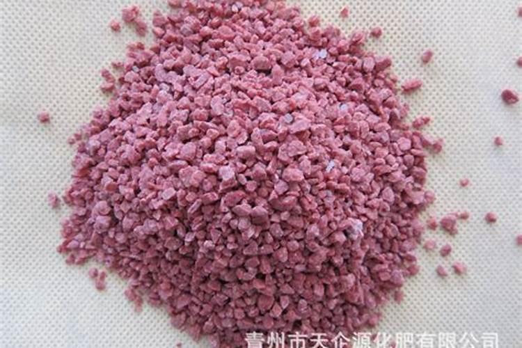 葡萄叶子是咋回事啊？