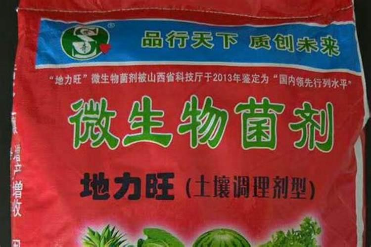 蝴蝶兰有哪些施肥技巧可以吸收效果更好