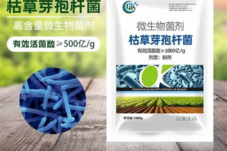 云苔素拌麦种用量 云苔素的使用方法