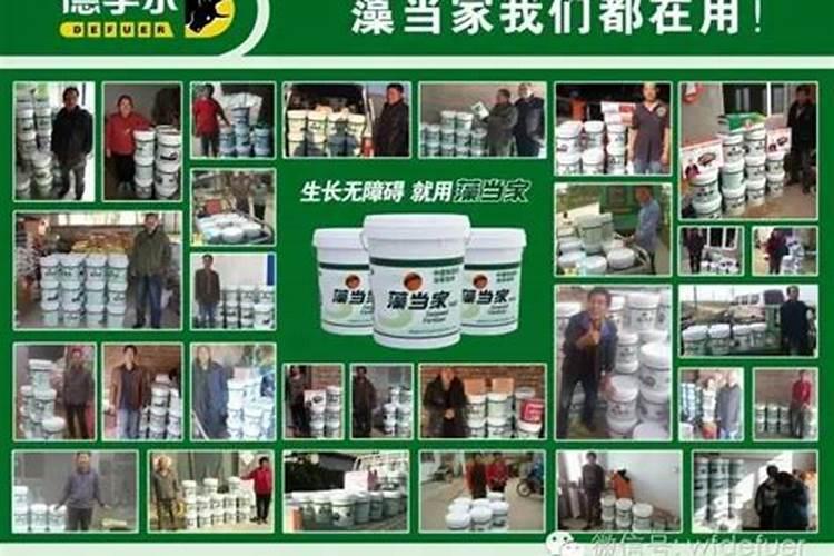 玉米施肥氮磷钾比例是多少 如何合理施加肥料