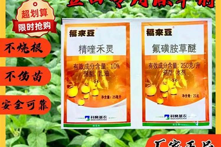 打了除草剂第二天能撒肥料吗