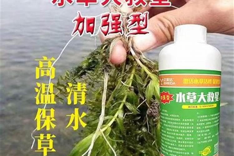 野河浑水用饵料还是蚯蚓好