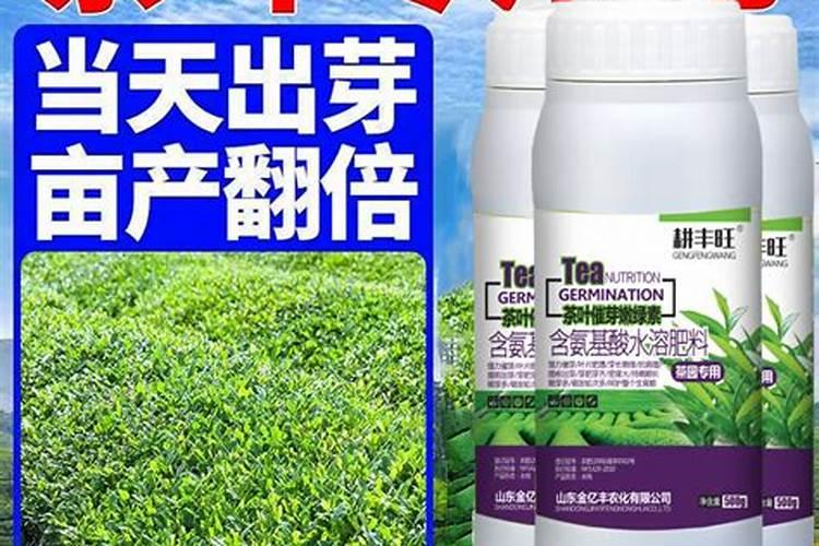 如何辨别皇帝柑的成熟度？