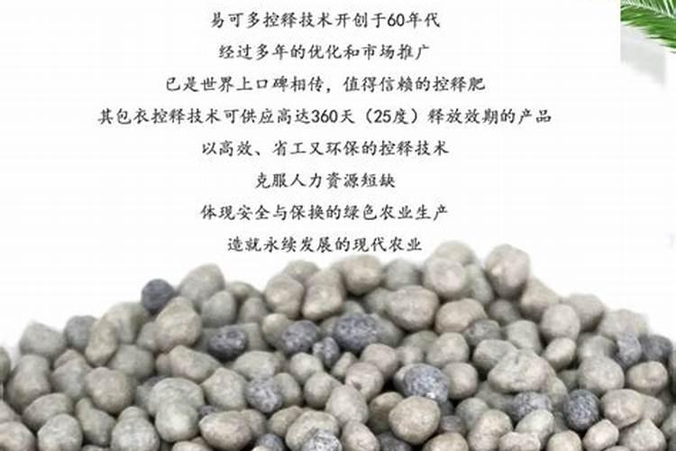 大豆开花期打什么叶面肥好 如何施肥可以增产