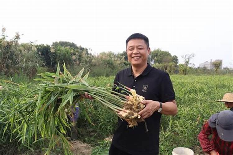 茎基腐病是一种危害严重的病害,黄姜茎基腐病该怎么防治？