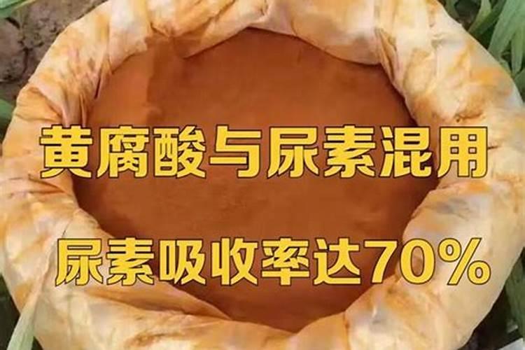 黄腐酸的作用是什么