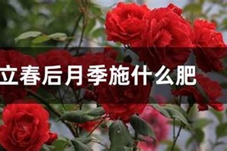 保定市绿特生物科技有限公司怎么样？
