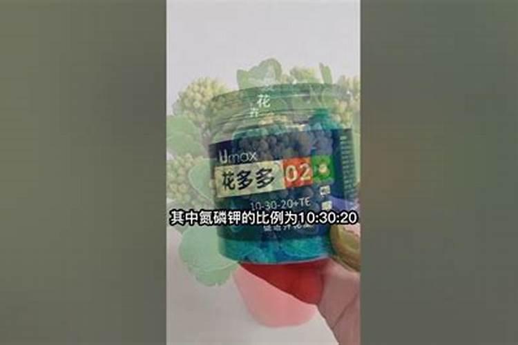 花生麸怎样沤制肥水
