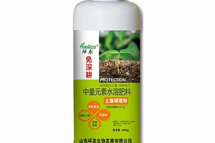 红心果是什么