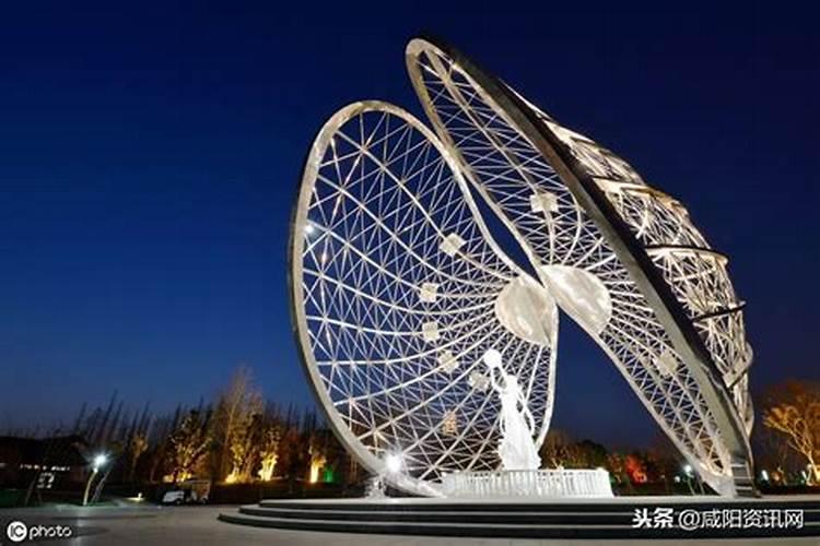 叶面肥的种类和作用