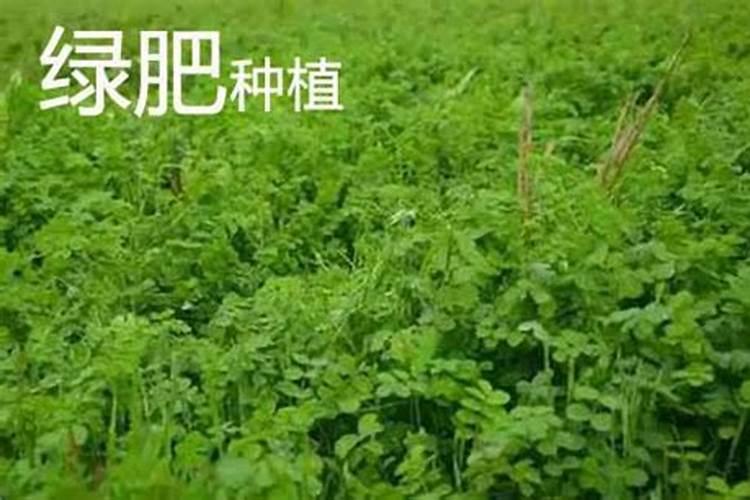 耐高温材料都有哪些