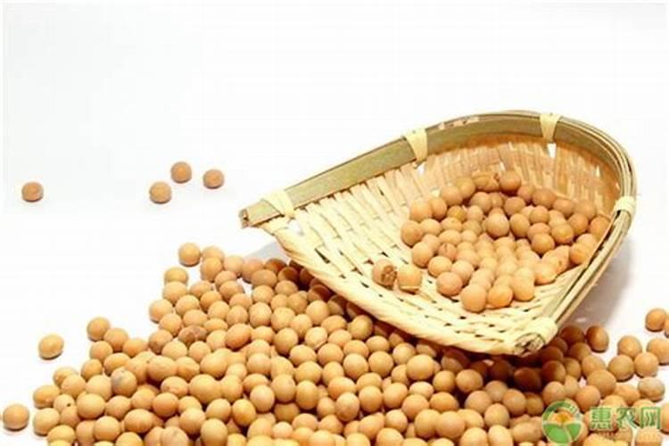 大豆肥最忌三种肥料