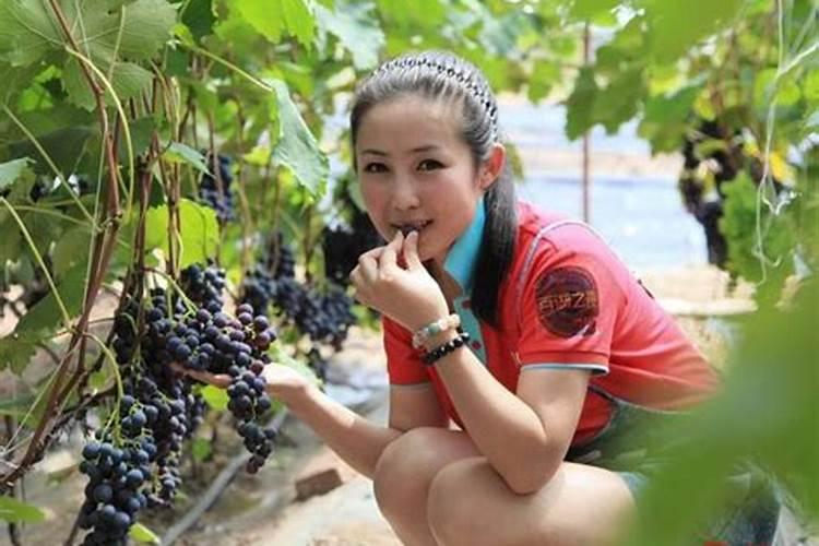 怎样自制磷肥