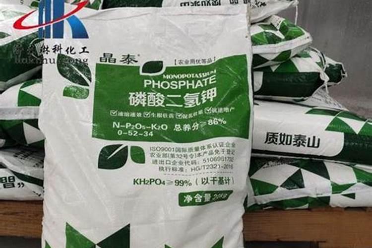 文竹施什么肥料好 文竹施肥用什么肥料