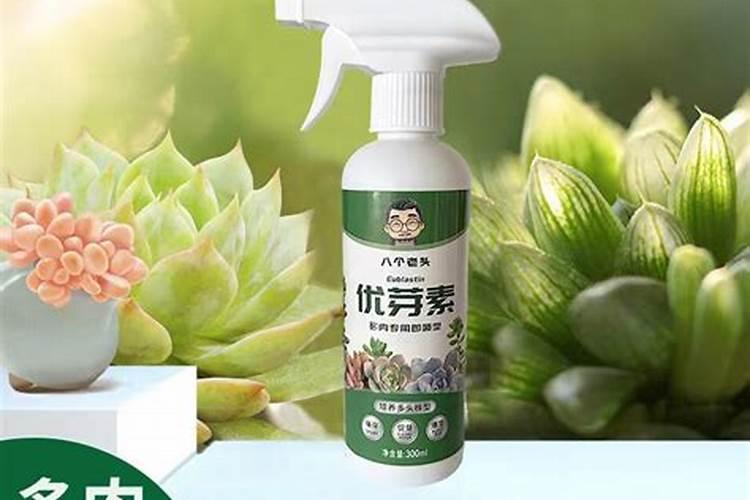 ...最多每亩不能超500公斤,并且补充氮肥,请问正确的答案!谢谢!百度知...