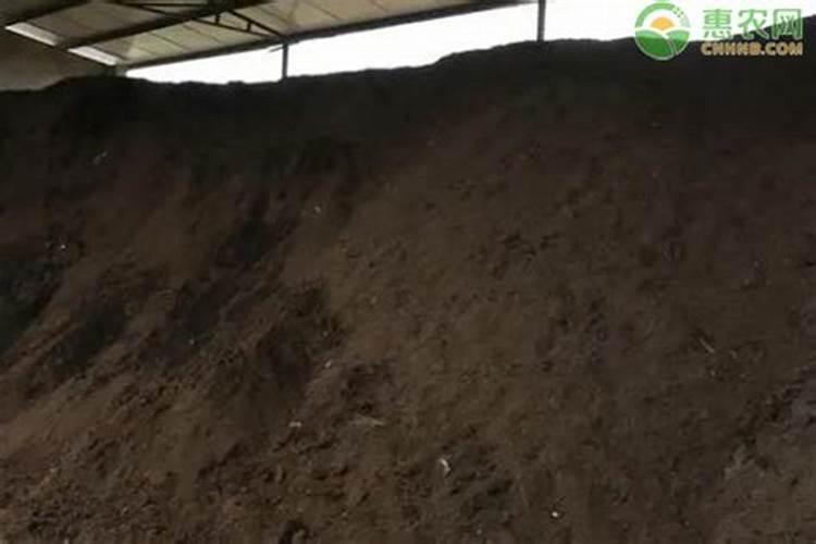 当前棉花叶面施肥怎么样追加
