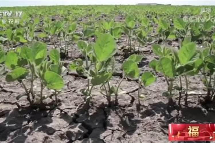 有机肥料制作方法