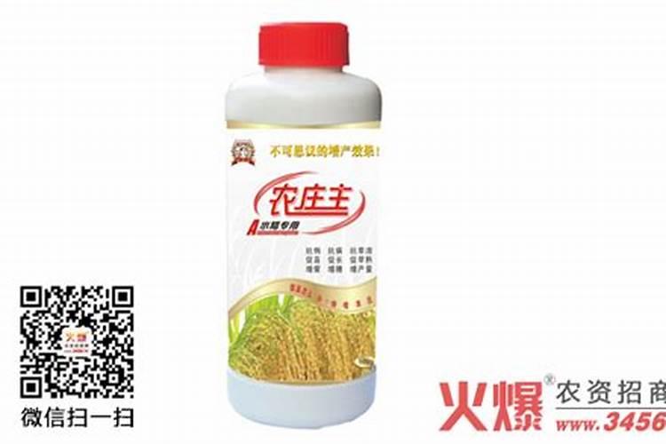 水稻如何施硅肥？一亩田需要多少硅肥