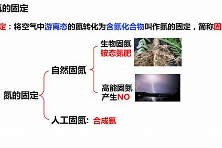 雷有什么作用