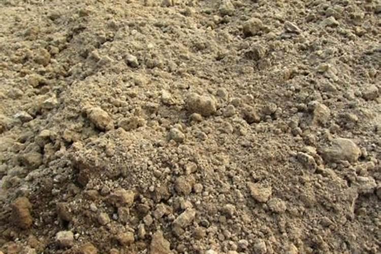 豆粕怎样作肥料使用