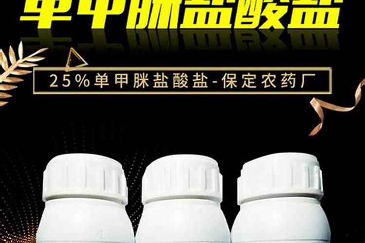 玫瑰香葡萄种植技术
