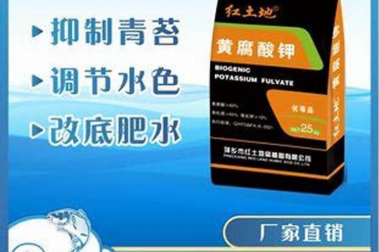 草莓的生长习性